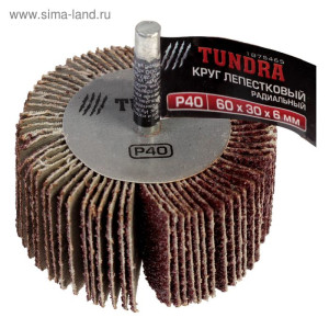 Круг лепестковый радиальный TUNDRA, 60 х 20 х 6 мм, P40 1875462