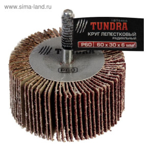 Круг лепестковый радиальный TUNDRA basic, 80 х 40 х 6 мм, P40 1875471